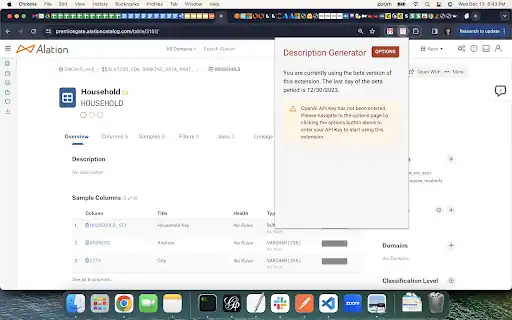 ChatGPT Alation Extension - Chrome Extension